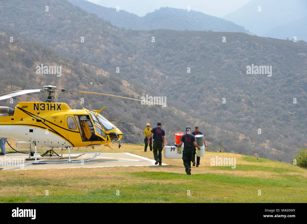 Fast bereit zu fliegen. Stockfoto