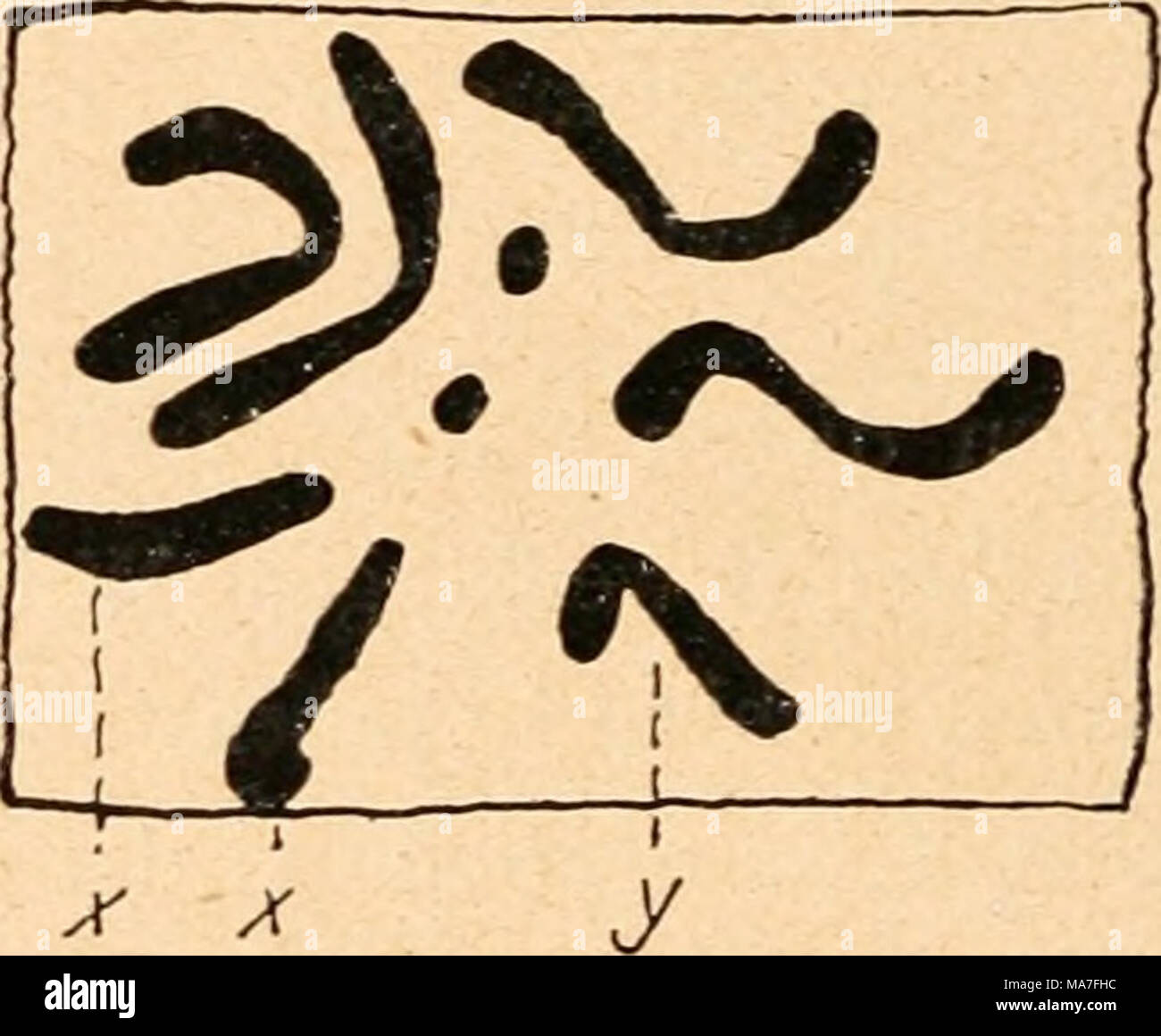 . Einführung in die Vererbungswissenschaft in zwanzig Vorlesungen für Studierende, Ärzte, Städte und Gemeinden. y y Abb. 96. Chromosomenbestand in den Zellen von Xxyy-und Xxy-Q von Drosophila. / Brücken. lernen werden, so bemerken wir nur, daß auch da Sterben verwickeltsten Erwartungen erfüllt waren. Der Umfang des Beweismaterials geht aus folgenden Zahlen hervor, sterben sterben Gesamtheit solcher Kulturen wieder - Christmas, in denen entsprechend der regulären Sprechgesungen sterben und sterben werden - sonderen Nachkommentypen Referenzen werdener (weiße und rote $&lt; $ $ neben roten und weißen&lt; $): Eigentlich erwartete Formen: S (3. Stockfoto