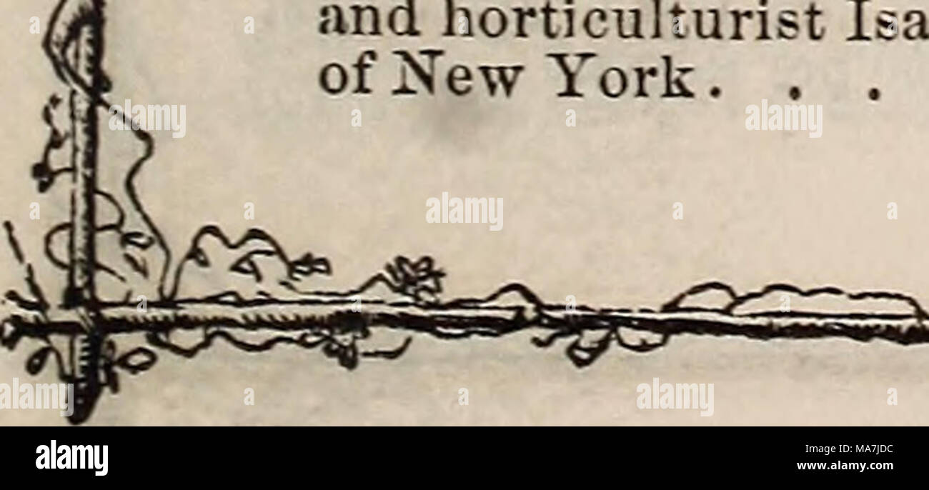 . E. Fred Washburn's Amateur kultivator Leitfaden für die Blume & Amp; Küche Garten für 1880. Jede. John Bull. Licht - Schwefel weiß. Besten weißen für Floristen 15 T.e Tizian. Bright Scarlet, sehr eflPective, .50 Lord Byron. Bright Scarlet, rein weissen Kehle 15 Louis Van Houtte. Strahlend rot. .10 Mirabilis. Fein hell-rot .20 Mazeppa Orange Rot, gestreift weiß. .15 Meteor. Hell dunkel rosa, rein weissen Kehle 30 Meyerbeer. Brillante Scarlet, geflammt ver-milion, amaranth Spots 40 Neptun. Fein rot, gestreift Carmine. .10 Nestor. Klar j-Ellow, unteren Blütenblätter tiefer gelb, mit roten 50 Oscar gestreift. B Stockfoto