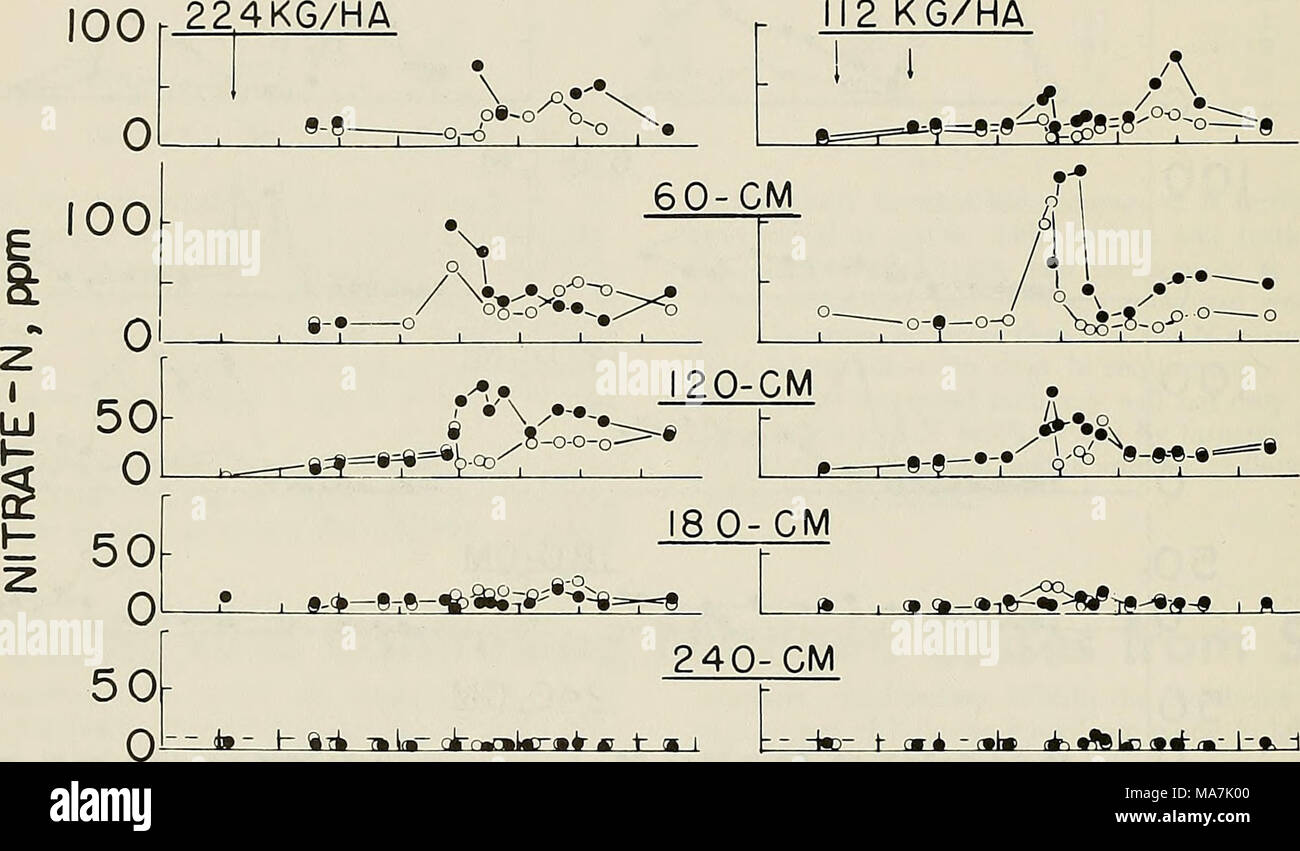 . Effiziente Nutzung von Stickstoff auf Ernte land im Nordosten. Jmji h tt-A7 "U-ck-rmnmittrmk g -&gt; - i-W^-Â ¥ cwl' f U ^&gt;% Lridt --!- •. - 6 8 0 12 2 6 8 10 10 12 2 MONATE Abbildung 14. Verteilung der Niederschläge mit Zeit und Verteilung von Nitrat-N-Konzentration mit Erde Tiefe und Zeit unter Schatten Tabak in 1975. (Daten von j.l. Starr und H.C. DeRoo, Connecticut) Folge, die Rate der Dünger N Aufnahme fast auf Null gesunken, was zu einer niedrigen insgesamt Dünger Effizienz von über 35% aus der ersten Anwendung und 20% aus der zweiten. Aufgrund der geringen Auswaschung Verlust beobachtet Stockfoto