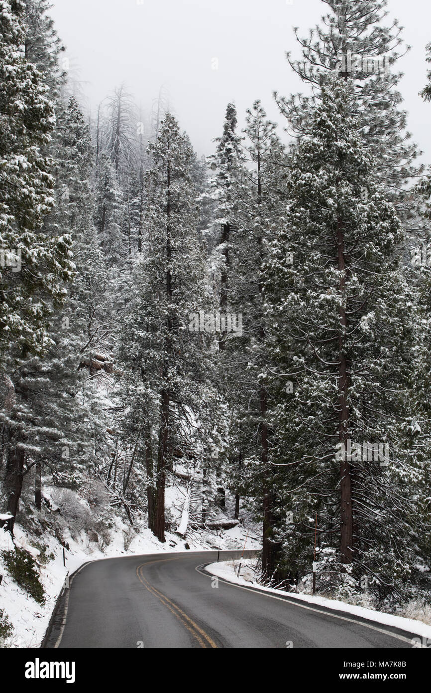 Yosemite National Park im Winter Stockfoto