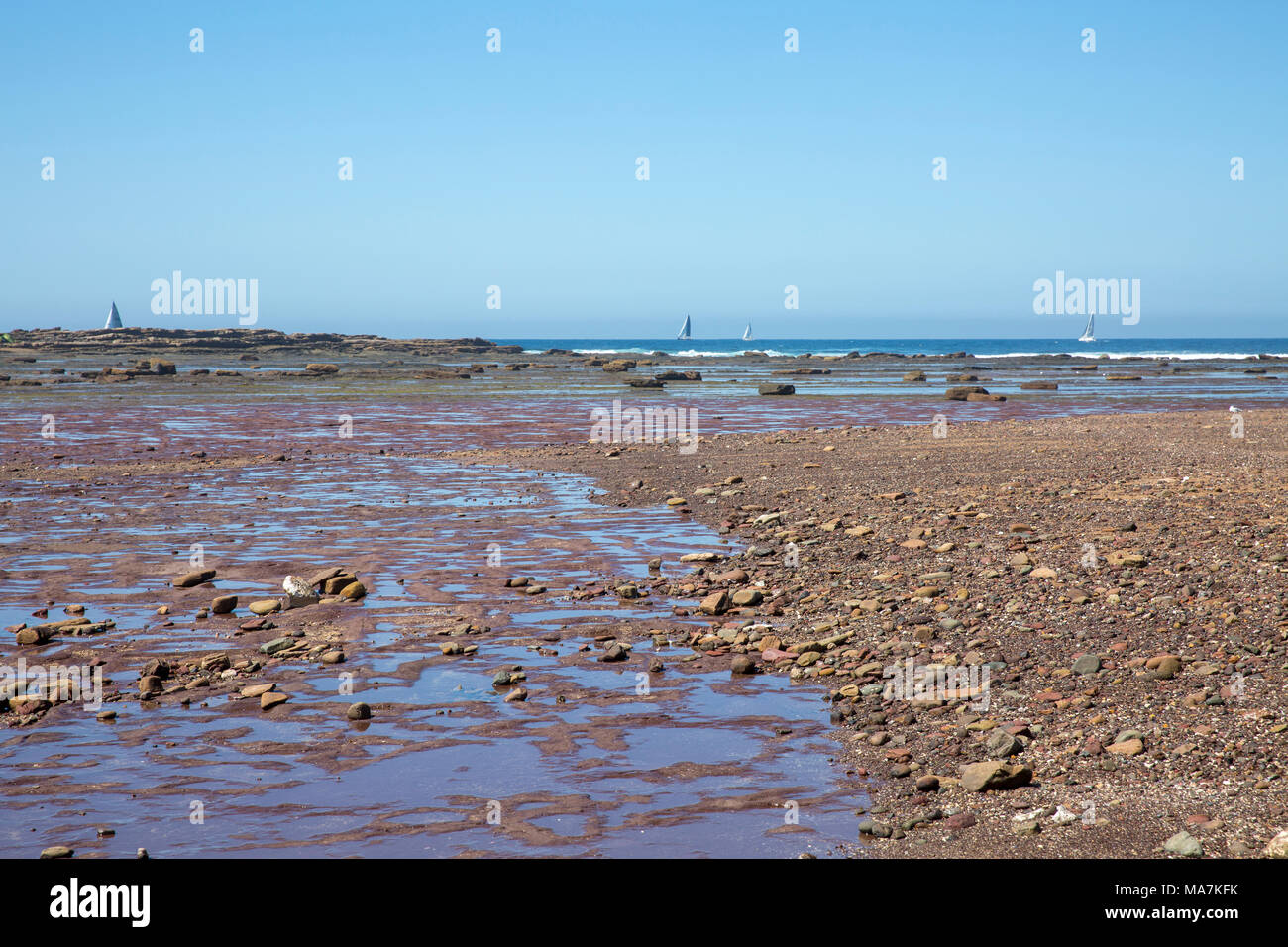 Long Reef Point und aquatischen buchen Northern Beaches von Sydney, New South Wales, Australien Stockfoto