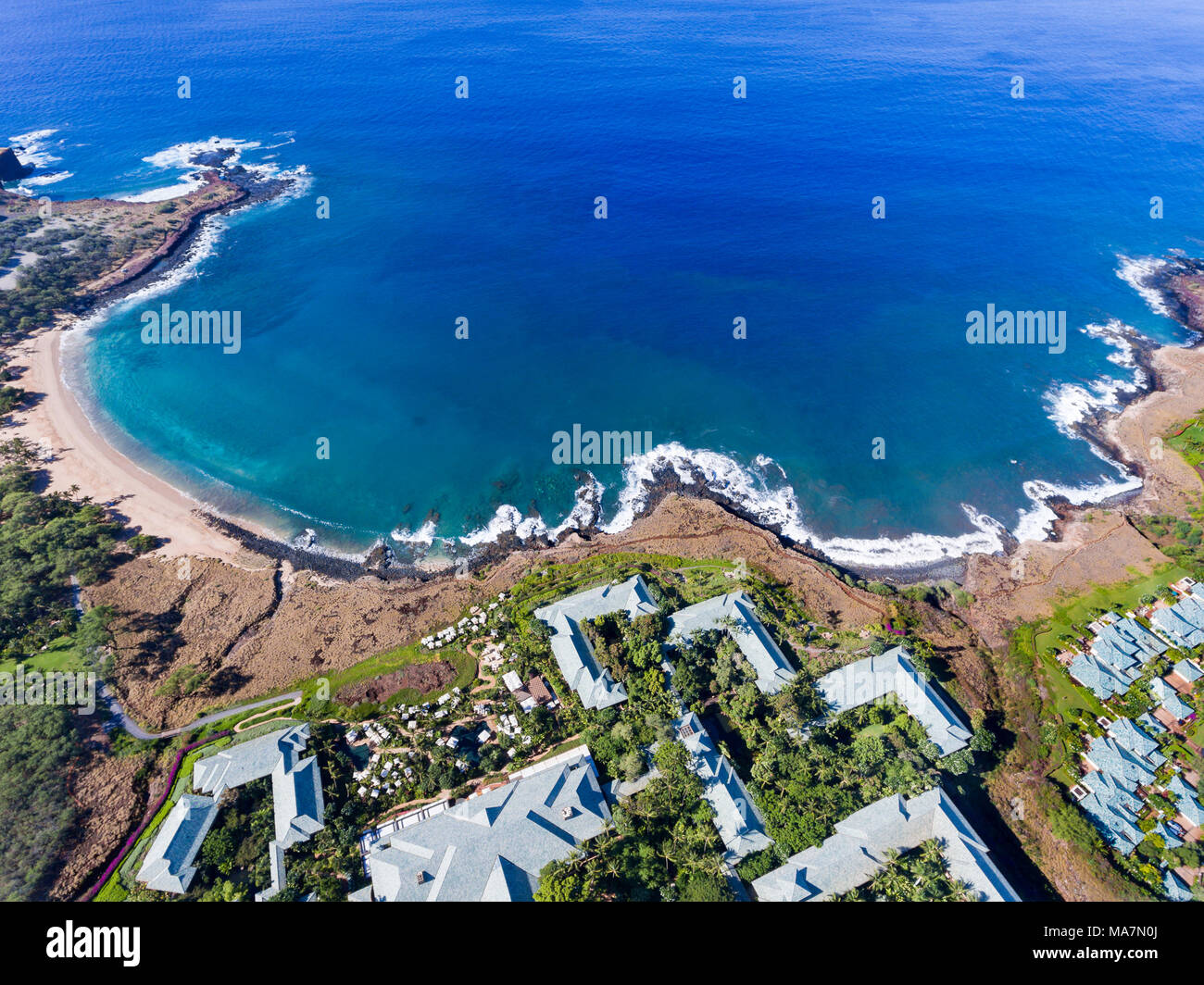 Eine Luftaufnahme des Golden Beach und Palm Tree an Hulopo'e Beach Park, und das Four Seasons Resort Lanai at Manele Bay, Insel, Hawaii, USA. Stockfoto