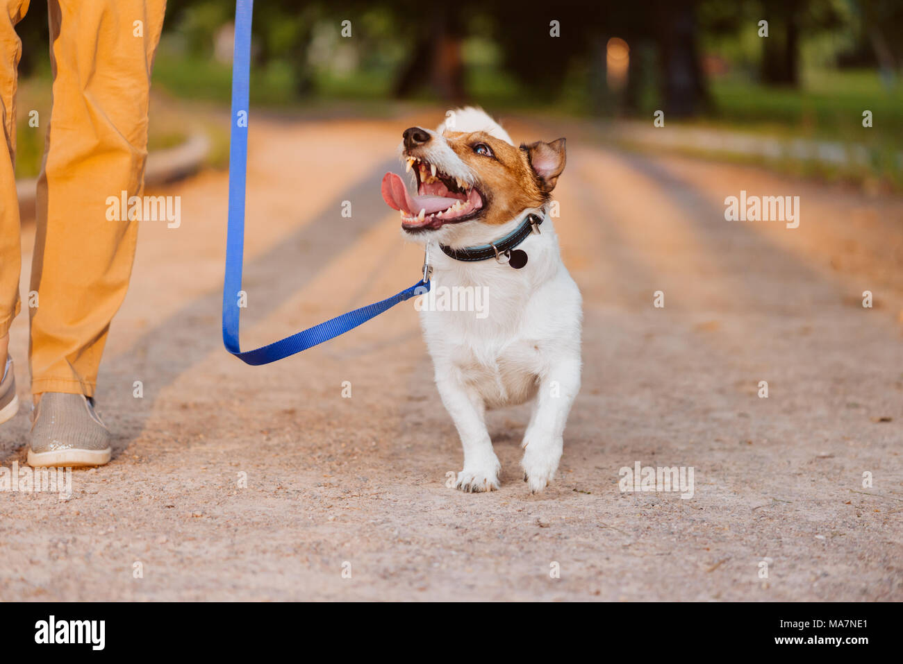 Bitte Hund an der Leine zu Eigentümer Wandern im Park Stockfoto