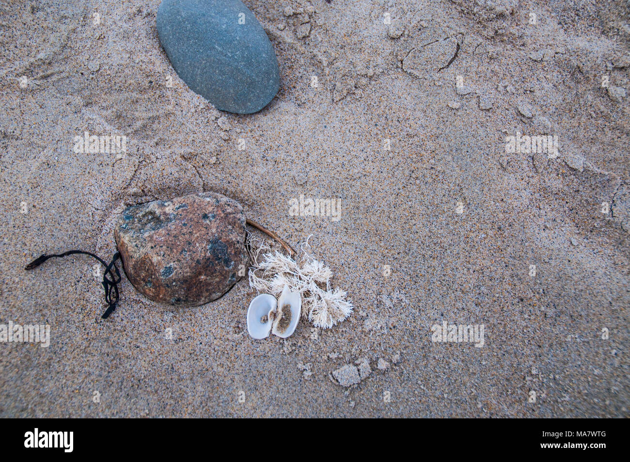 Sand und Muscheln sind ein natürlicher Fortsatz am Strand. Stockfoto