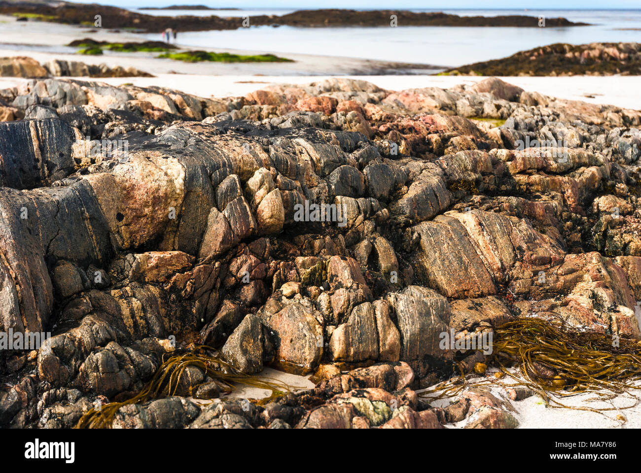 Ein Bild von Lewisian Gniess auf den Inneren Hebriden Isle of Tiree, Argyll und Bute, Schottland. 20. Juni 2007. Stockfoto