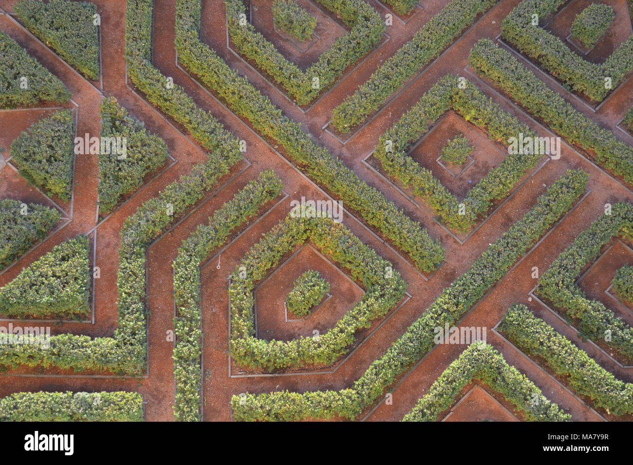 Fantastischer Garten Stockfoto