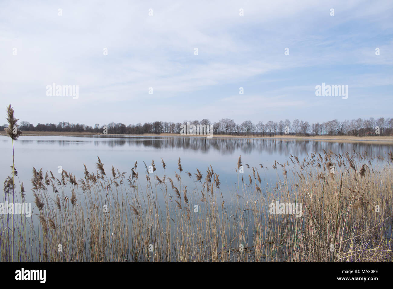 Spring Lake. Natura 2000 Polen Stockfoto