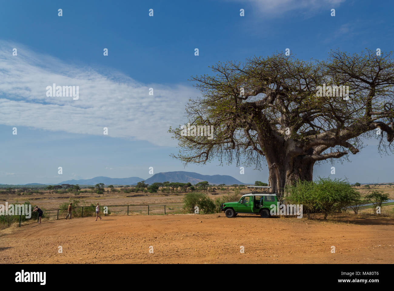 Safari, Tansania, Reisen in Afrika Stockfoto