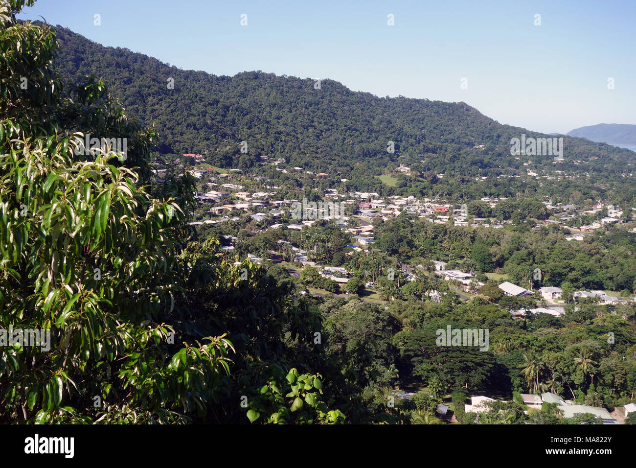 Blick über den grünen Vororten von Whitfield und Edge Hill aus grünen Pfeil Wanderweg bis Mt Whitfield, Cairns, Queensland, Australien. Keine PR Stockfoto