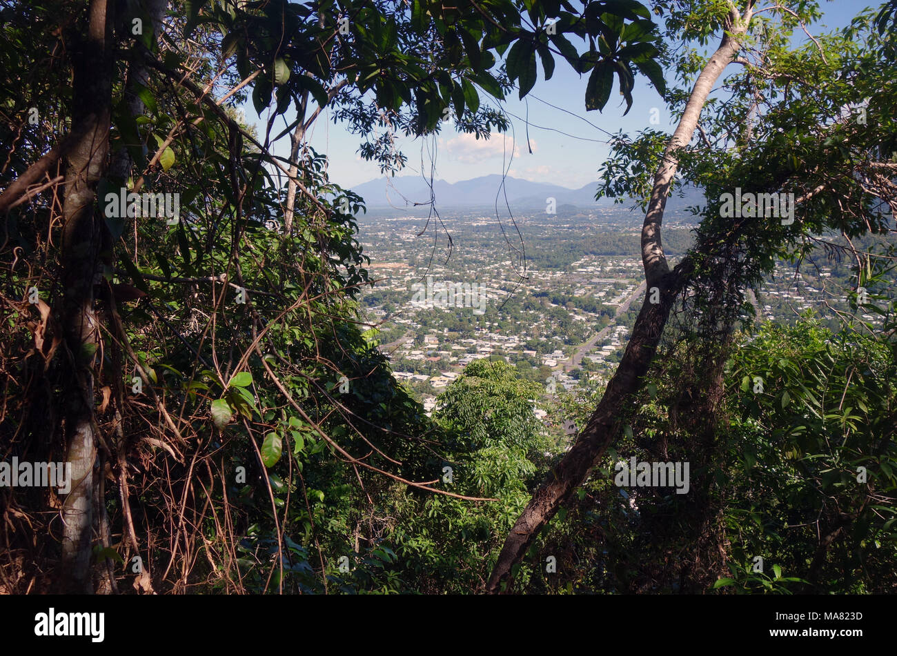 Einblicke in Cairns Vorstädte durch Regenwald entlang grüner Pfeil Walking Track, Mt Whitfield, Cairns, Queensland, Australien. Keine PR Stockfoto