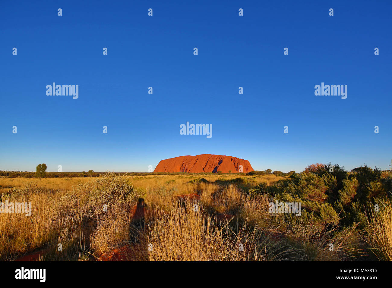 Uluru, Ayers Rock, Uluru-Kata Tjuta National Park, Northern Territory, Australien Stockfoto