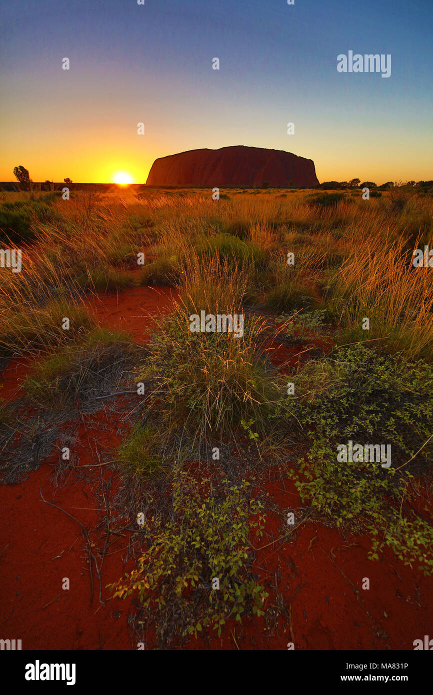 Sonnenaufgang am Uluru, Ayers Rock, Uluru-Kata Tjuta National Park, Northern Territory, Australien Stockfoto