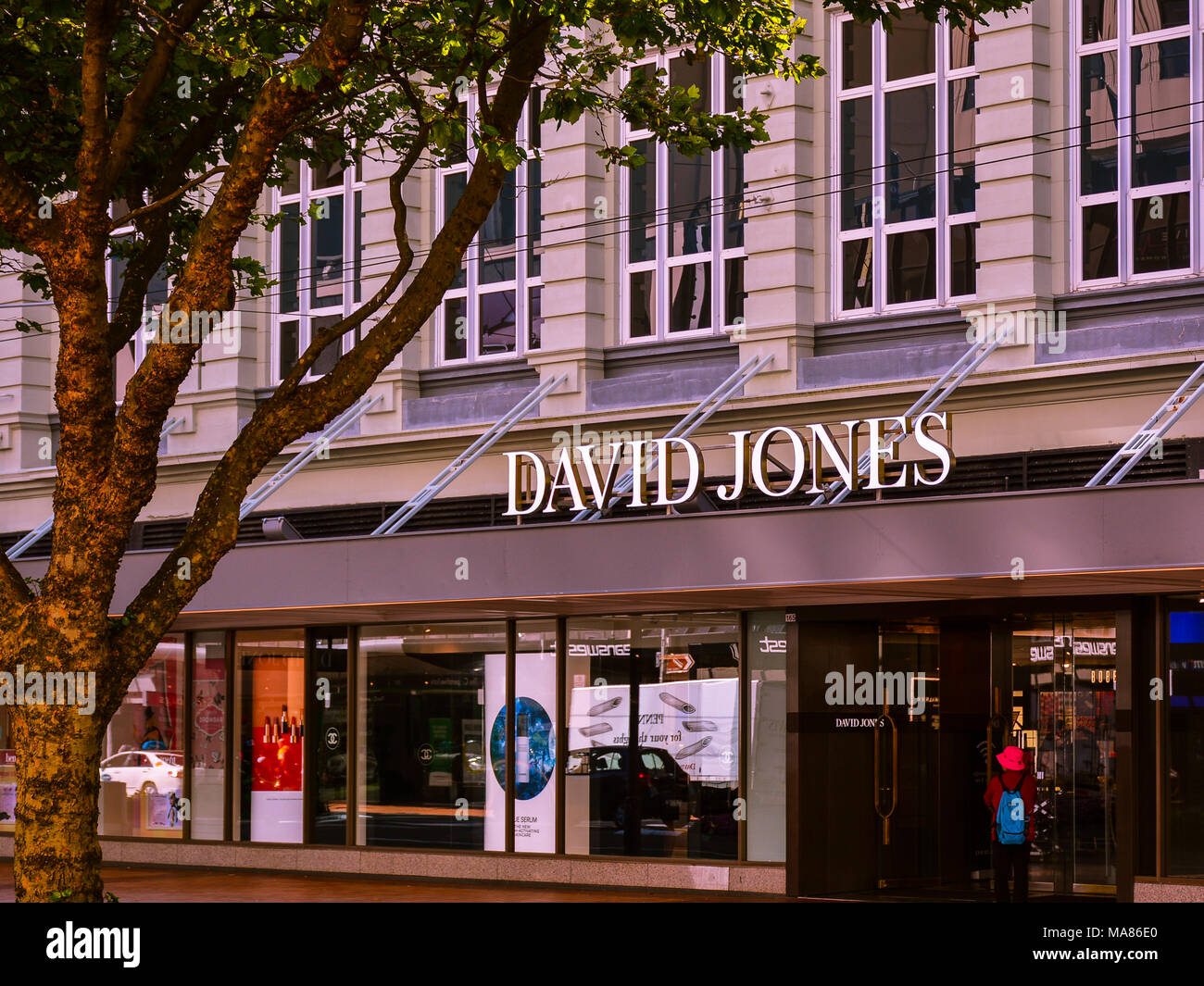 Februar 11, 2017 - David Jones Store in Wellington, Neuseeland Stockfoto