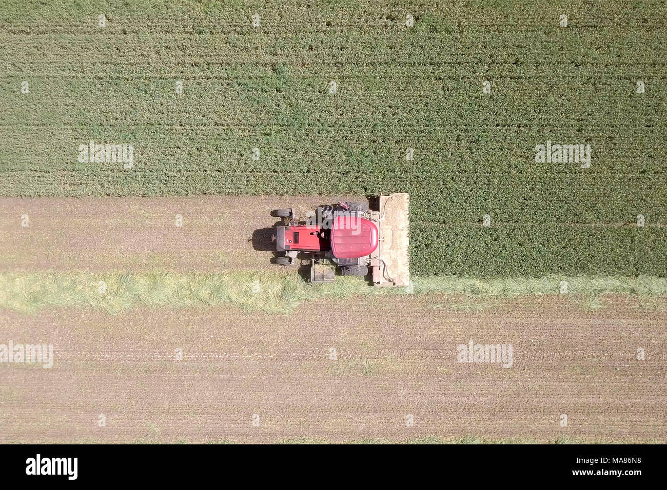 Luftaufnahmen von Red Harvest kombinieren ein grünes Weizenfeld Stockfoto