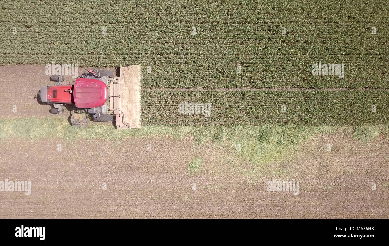 Luftaufnahmen von Red Harvest kombinieren ein grünes Weizenfeld Stockfoto