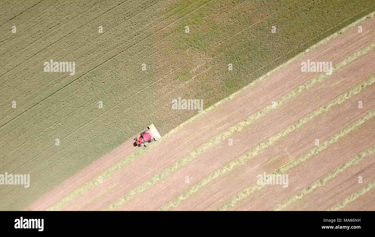 Luftaufnahmen von Red Harvest kombinieren ein grünes Weizenfeld Stockfoto