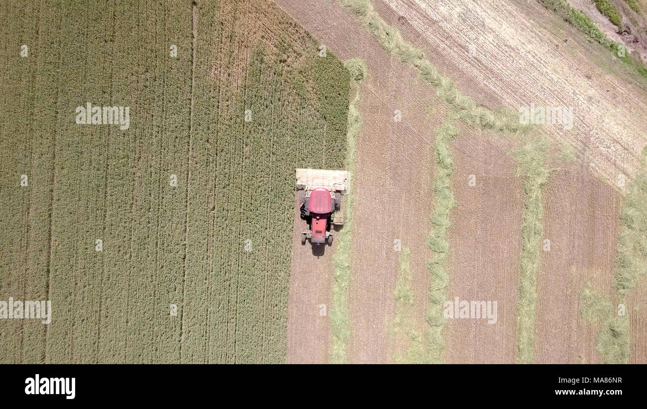 Luftaufnahmen von Red Harvest kombinieren ein grünes Weizenfeld Stockfoto