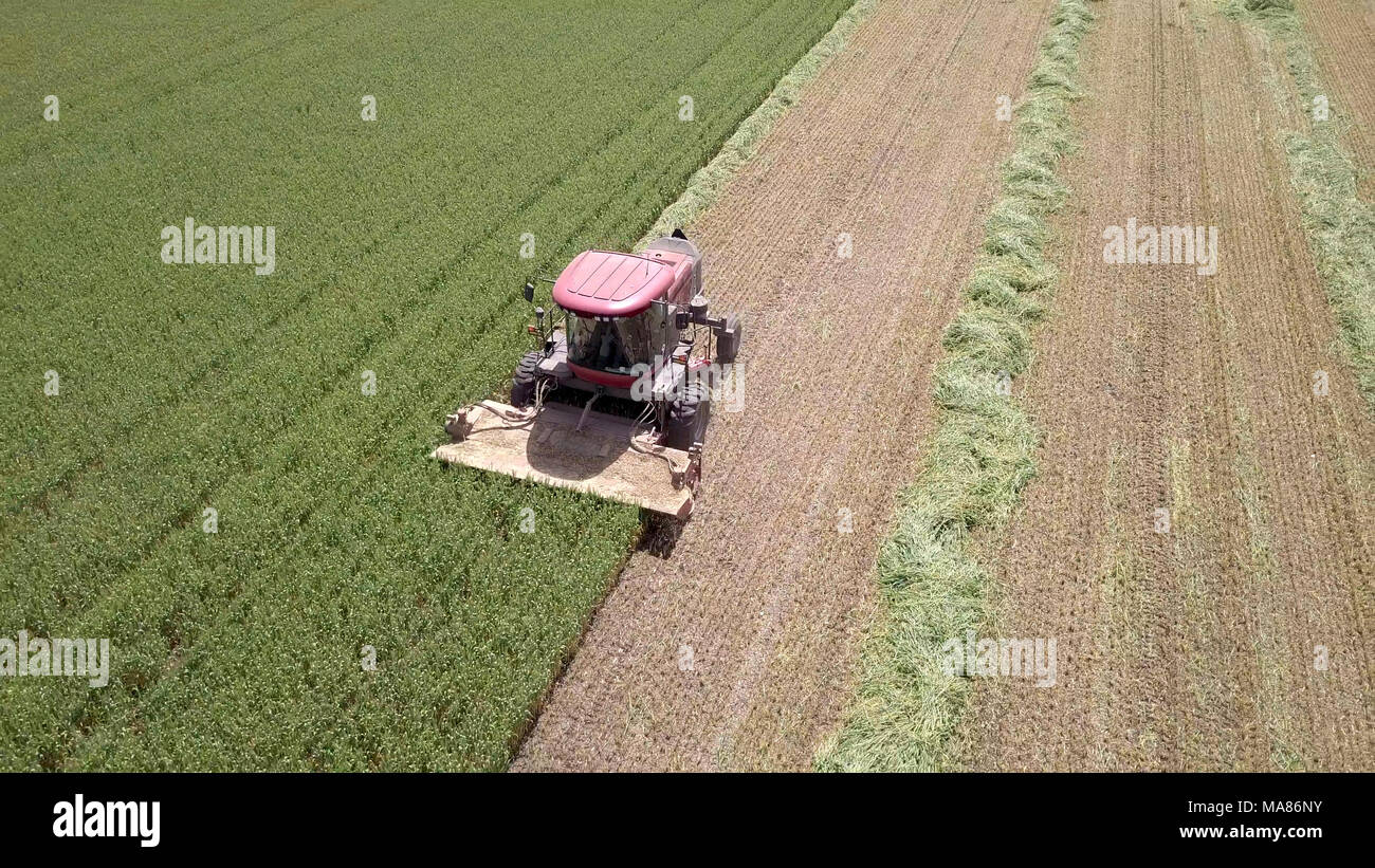 Luftaufnahmen von Red Harvest kombinieren ein grünes Weizenfeld Stockfoto