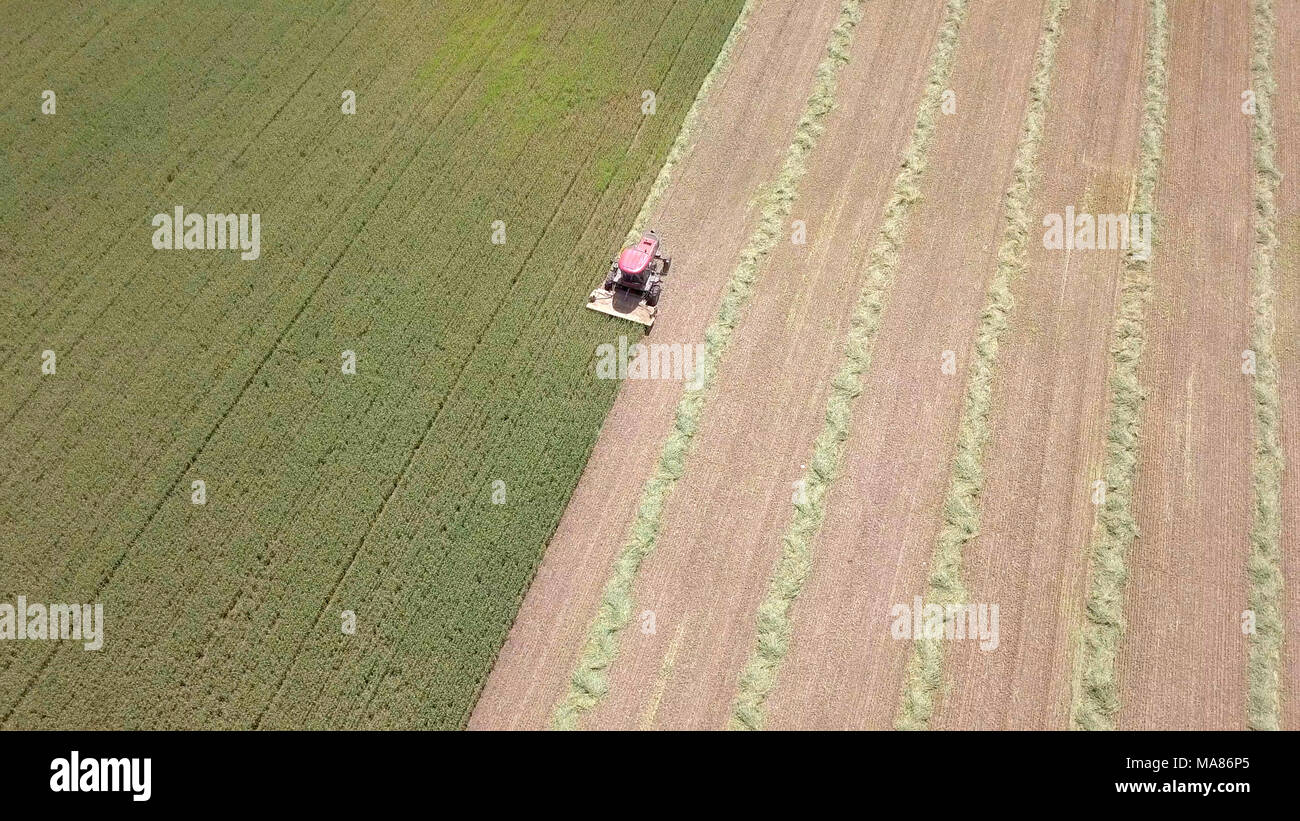 Luftaufnahmen von Red Harvest kombinieren ein grünes Weizenfeld Stockfoto