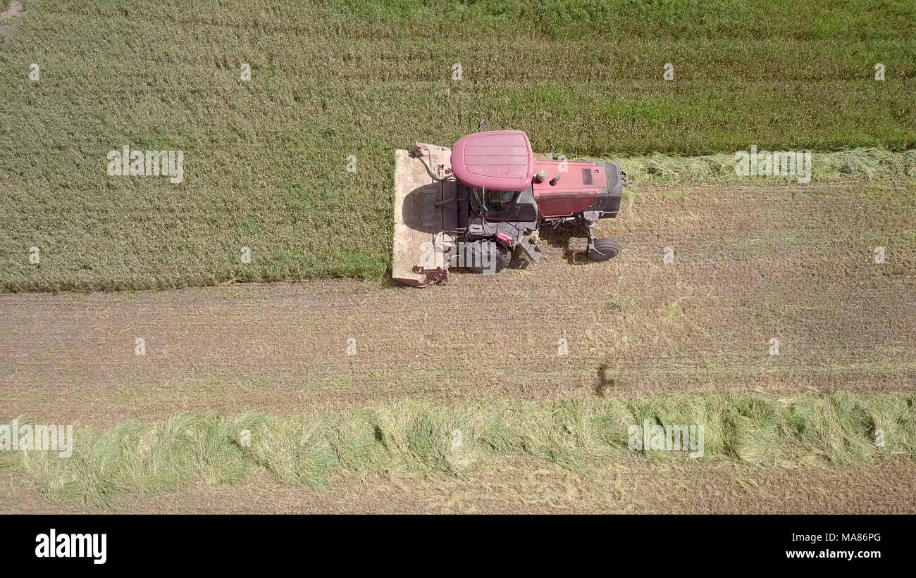 Luftaufnahmen von Red Harvest kombinieren ein grünes Weizenfeld Stockfoto