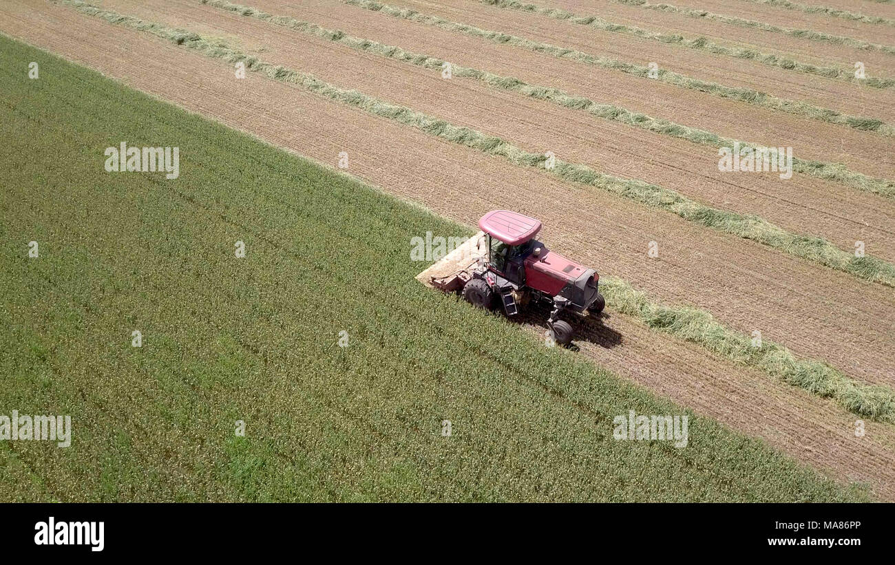 Luftaufnahmen von Red Harvest kombinieren ein grünes Weizenfeld Stockfoto