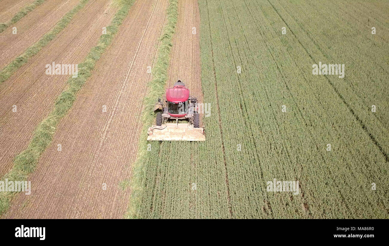 Luftaufnahmen von Red Harvest kombinieren ein grünes Weizenfeld Stockfoto
