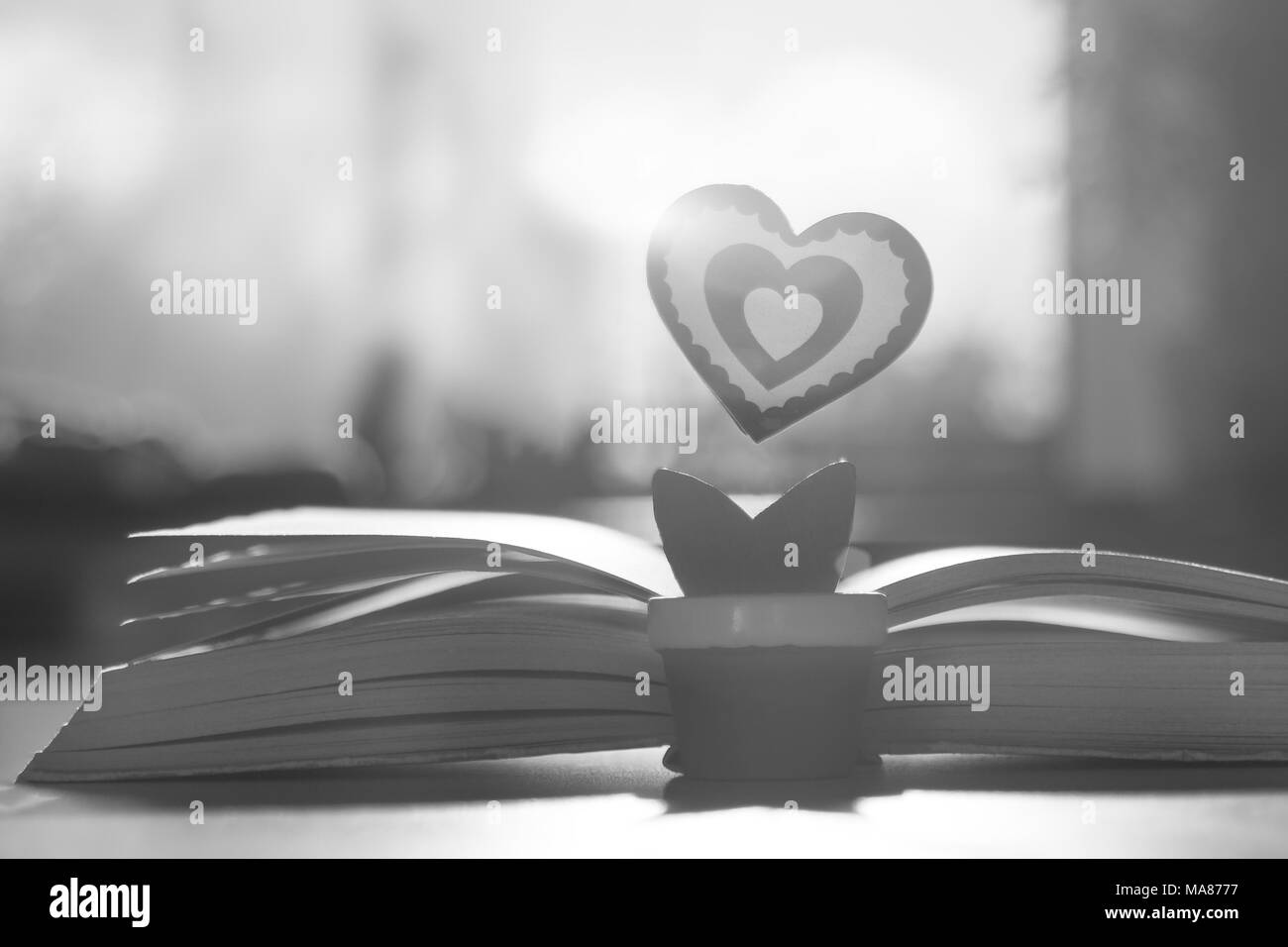 Herz Blume Buch auf dem Tisch vor dem Fenster. Das Konzept der gewachsen Liebe in Fantasy. Stockfoto