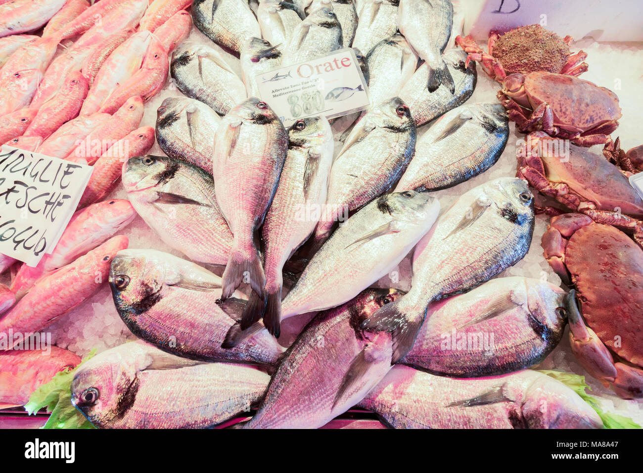 Venezianische Fischmarkt Stockfoto