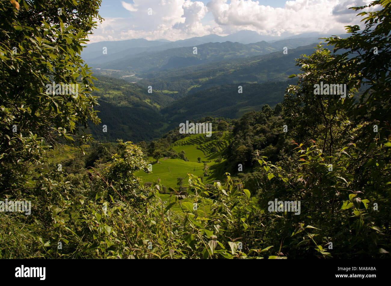 Nepal 2014. Zu Fuß Pangma von Manibanjan. Landschaft von Arun Tal Stockfoto