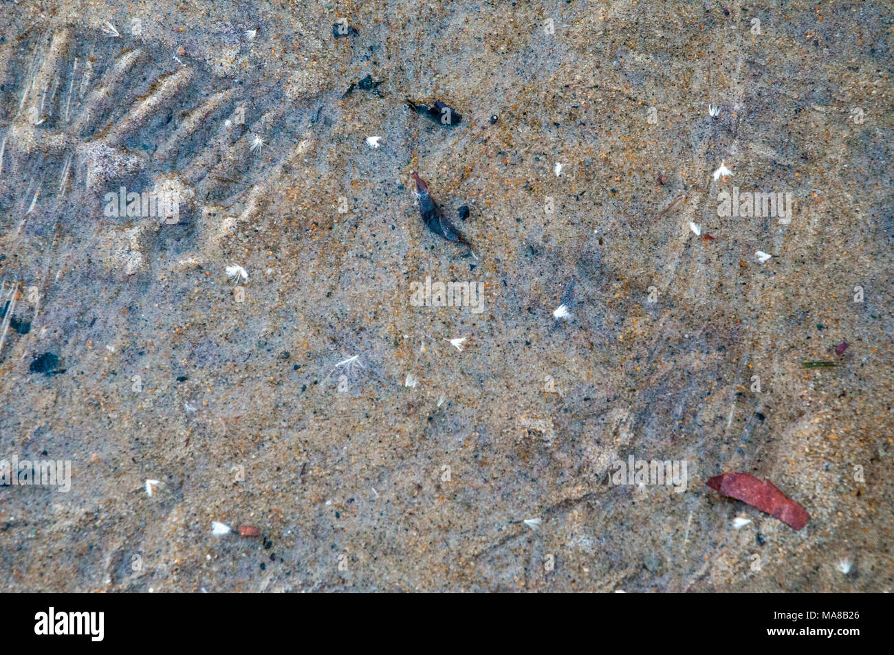 Diese Bauform ist von einem Boot. Stockfoto