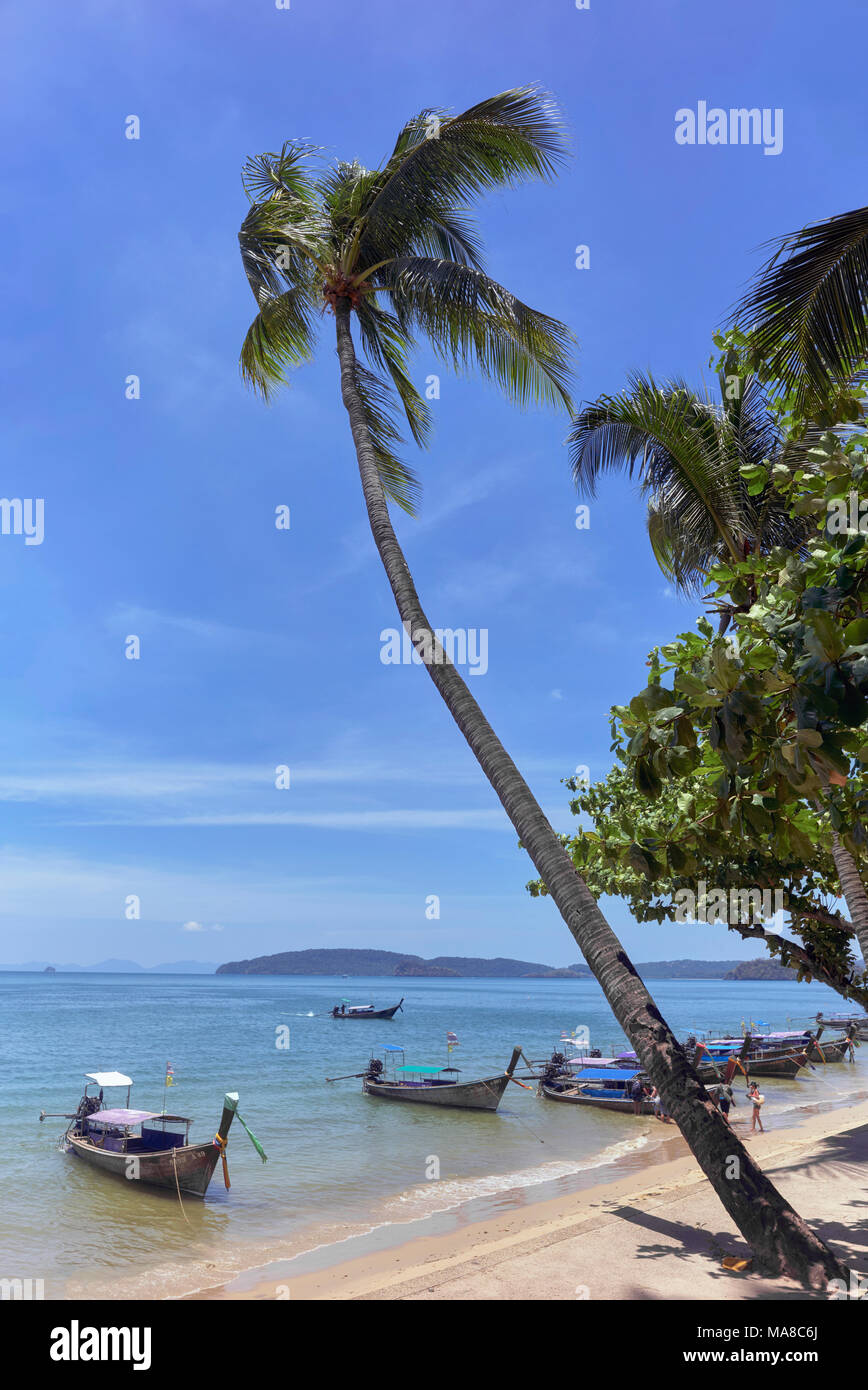 Krabi Strand mit Palmen, blauem Sommerhimmel und Booten. Thailand, Südostasien. Lage Himmel Sonne Strand Palme Stockfoto