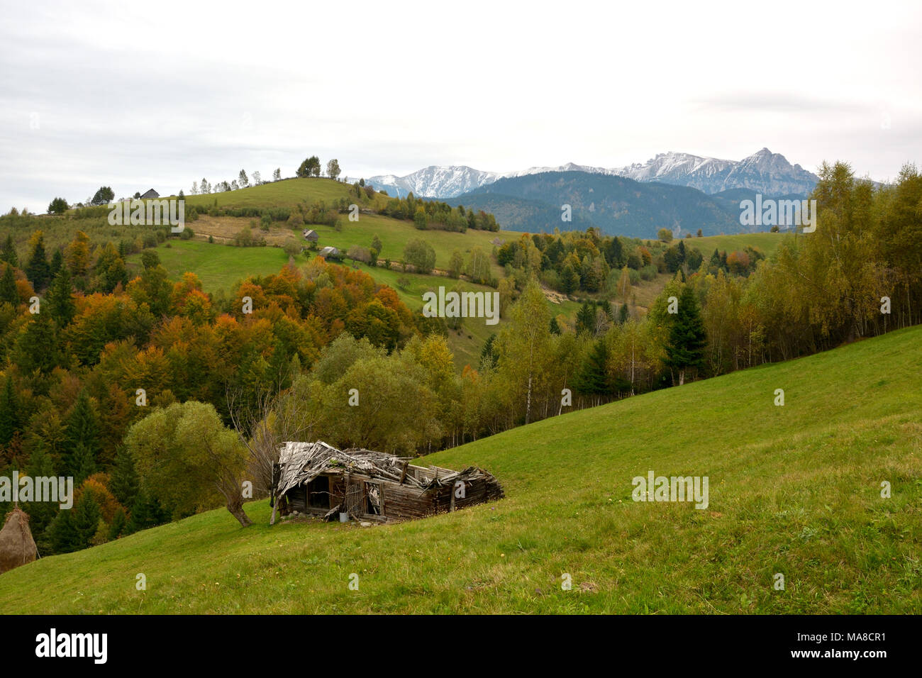 Rumänische Farm verlassen Stockfoto