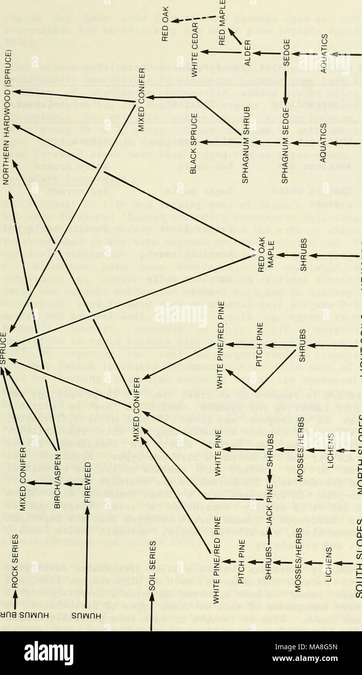 . Eine ökologische Charakterisierung von Küstenmaine (nördlich und östlich von Cape Elizabeth). m LLi3o DC-Q ICH LU CO CO (/) o" 5 4 • s-t - 3^3^o z z n CD-O&lt;&lt;&lt;I I 0. Q. CO CO Q LJJ Z&lt; Q UL1-CC (/) UJ III 1 - &Lt;LU $ CO O O m CO I UL Z u 1 - o CO&lt;^CO (0o Ui u-1 3 o (0 CO (A&gt;- l l&lt; DC-oc O&lt; CO LU? 1. Z T S oc O CO z' X O (O Z I o CO UJ ein. o âI • CO I h-cc O CO ai ein. O i CO3 o CO UJ I - 4 - l O CO c0) cfl 00 ICH CJ ABL u3 60 O CO en o o 9-9 Tiefbass-subwoofer Stockfoto