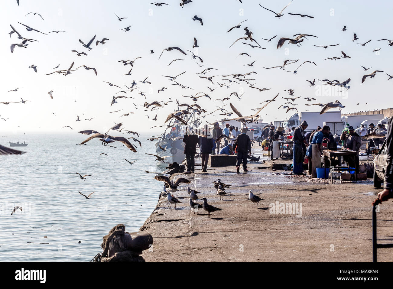 Agadir fisch Port mit dem alten Fischmarkt auf dem Kai. Die Fische waren auf dem Kai Seite und die Nebenprodukte der Schlachtung auf den Kai geworfen, ausgenommen Stockfoto