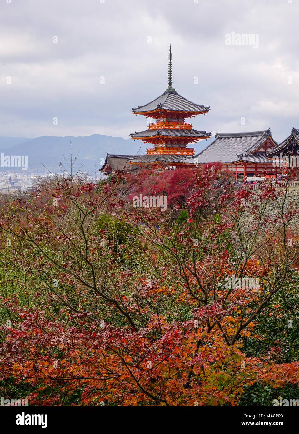Teil der Kiyomizu Tempel mit Bäume im Herbst in Kyoto, Japan. Stockfoto