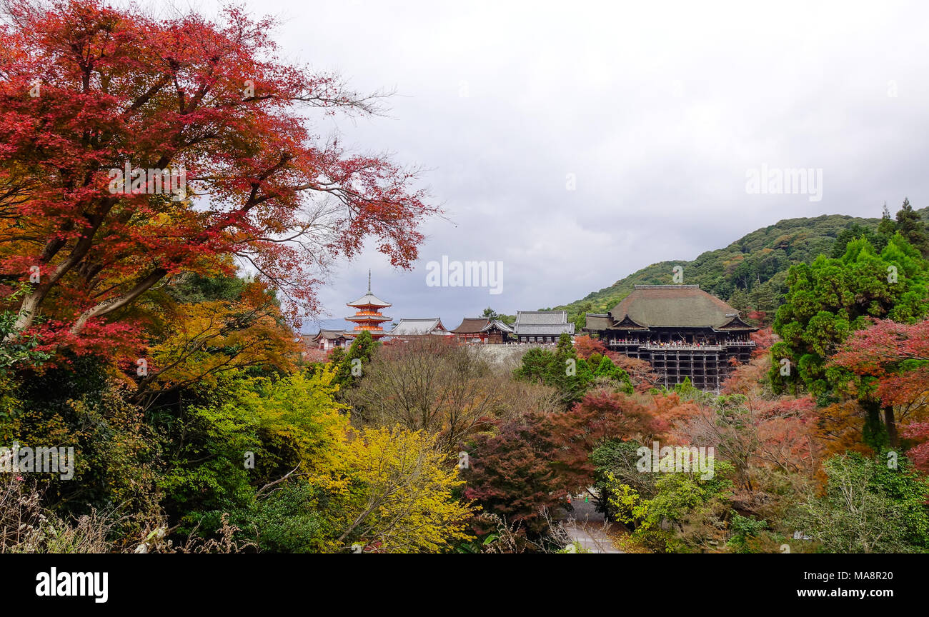 Teil der Kiyomizu Tempel mit Herbst Wald in Kyoto, Japan. Stockfoto