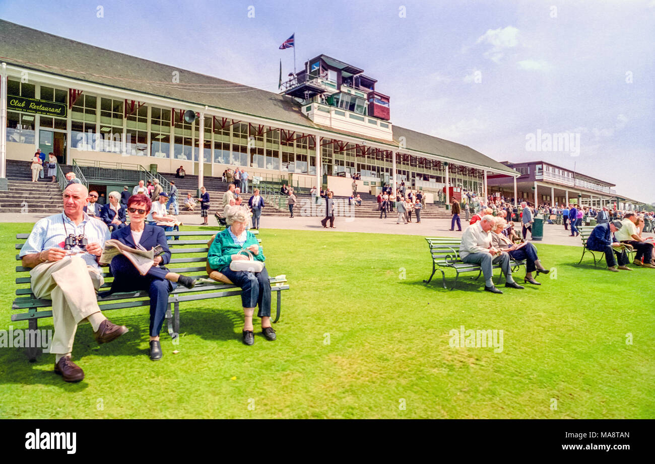 Horse-racing Bei Lingfield Stockfoto