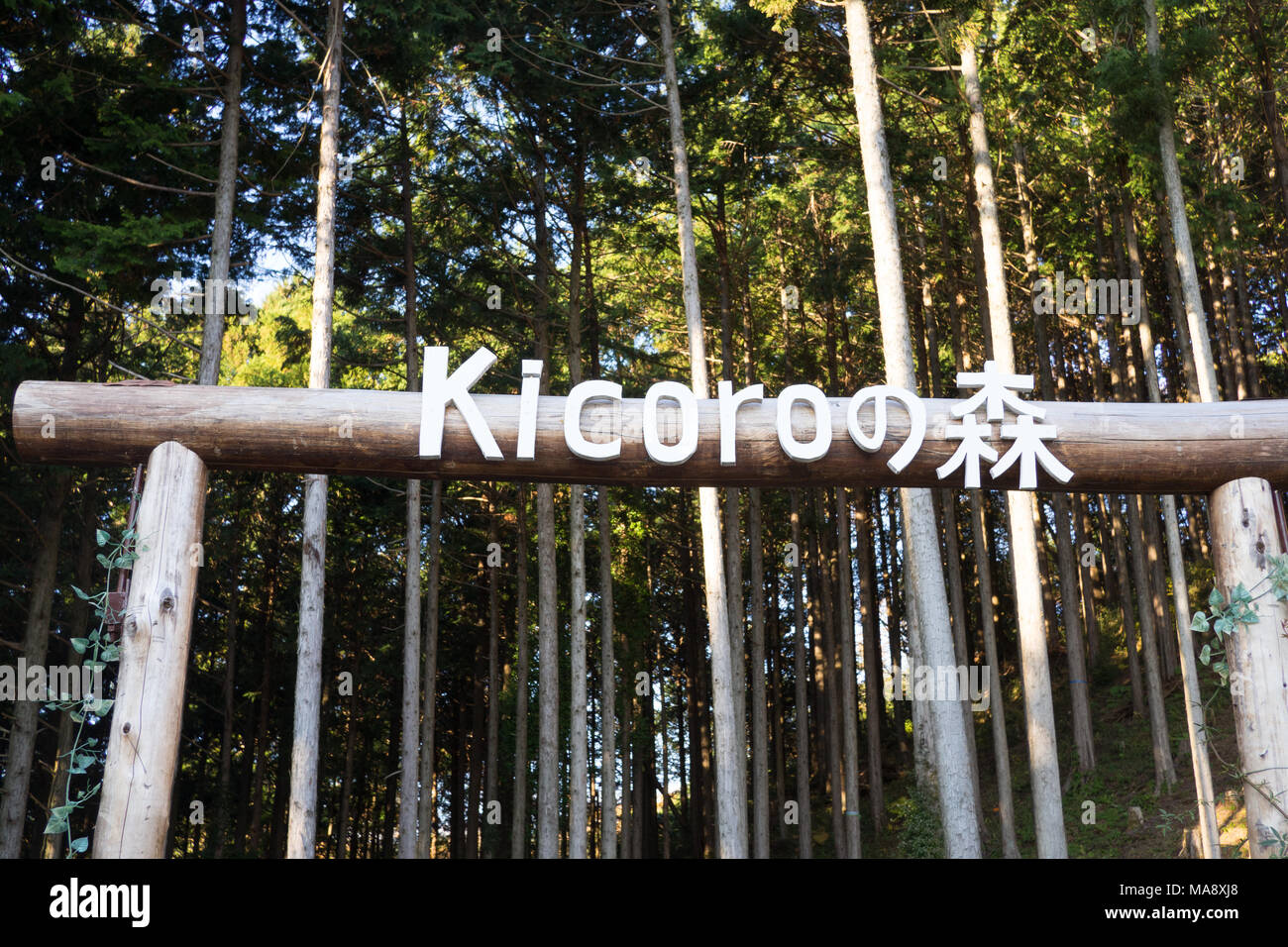 Mishima Kicoro in Japan in der Nähe der Fußgängerbrücke Stockfoto