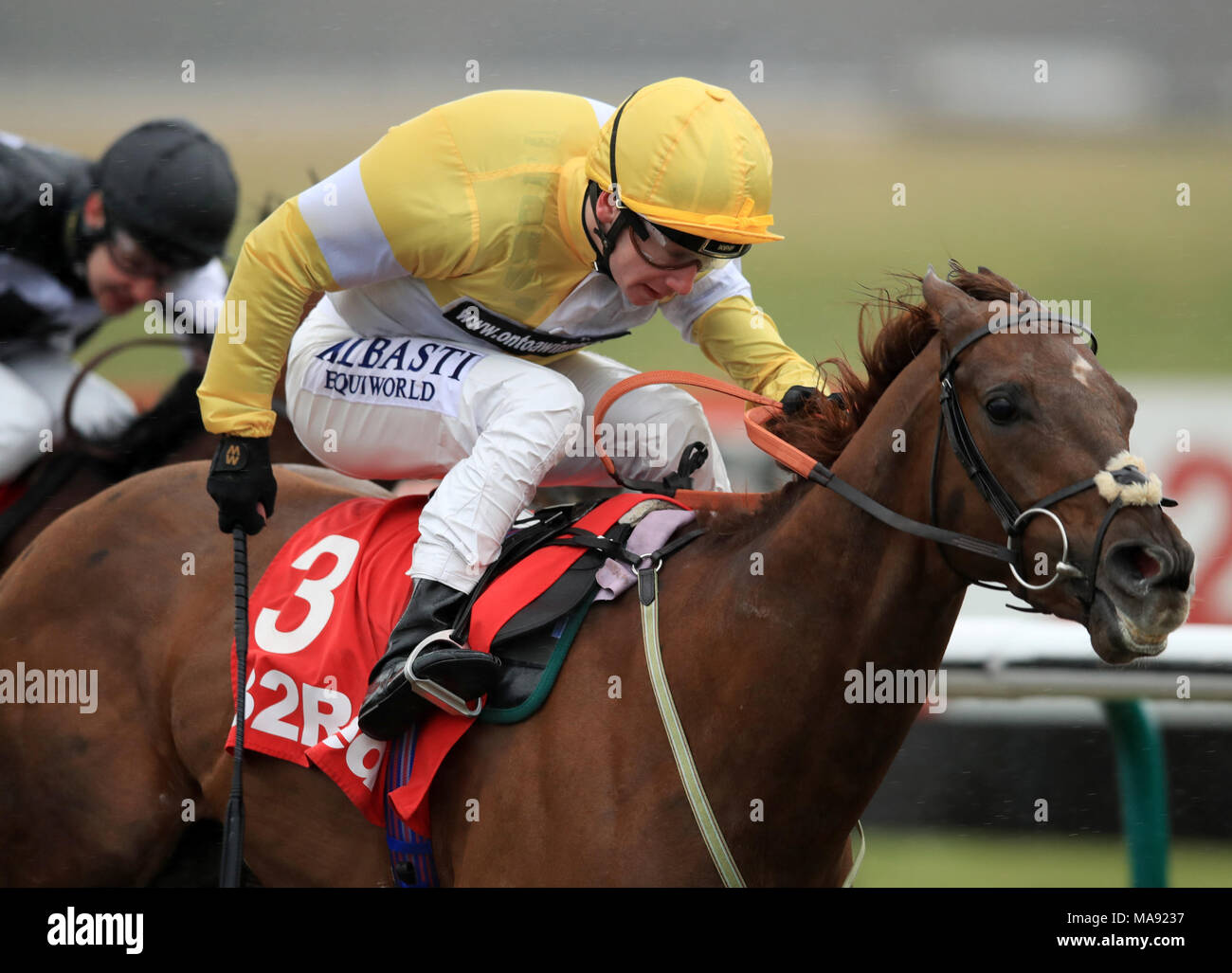 Corinthia Ritter geritten von Oisin Murphy gewinnt die 32 Rot 3 Jahr alten All-Weather Meisterschaften Bedingungen Einsätze während der AW-Meisterschaft finale Tag bei Lingfield Pferderennbahn. Stockfoto