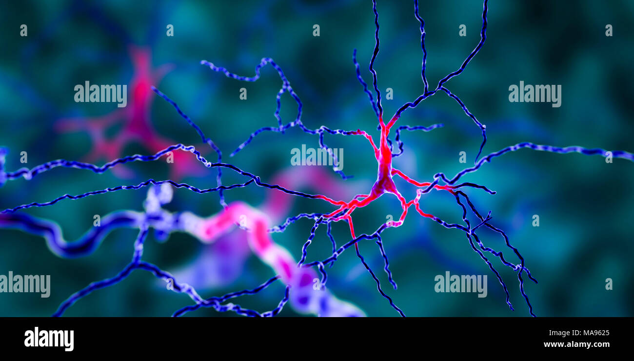 Dopaminergen Neuronen, computer Abbildung. Dopaminergen Neuronen sind