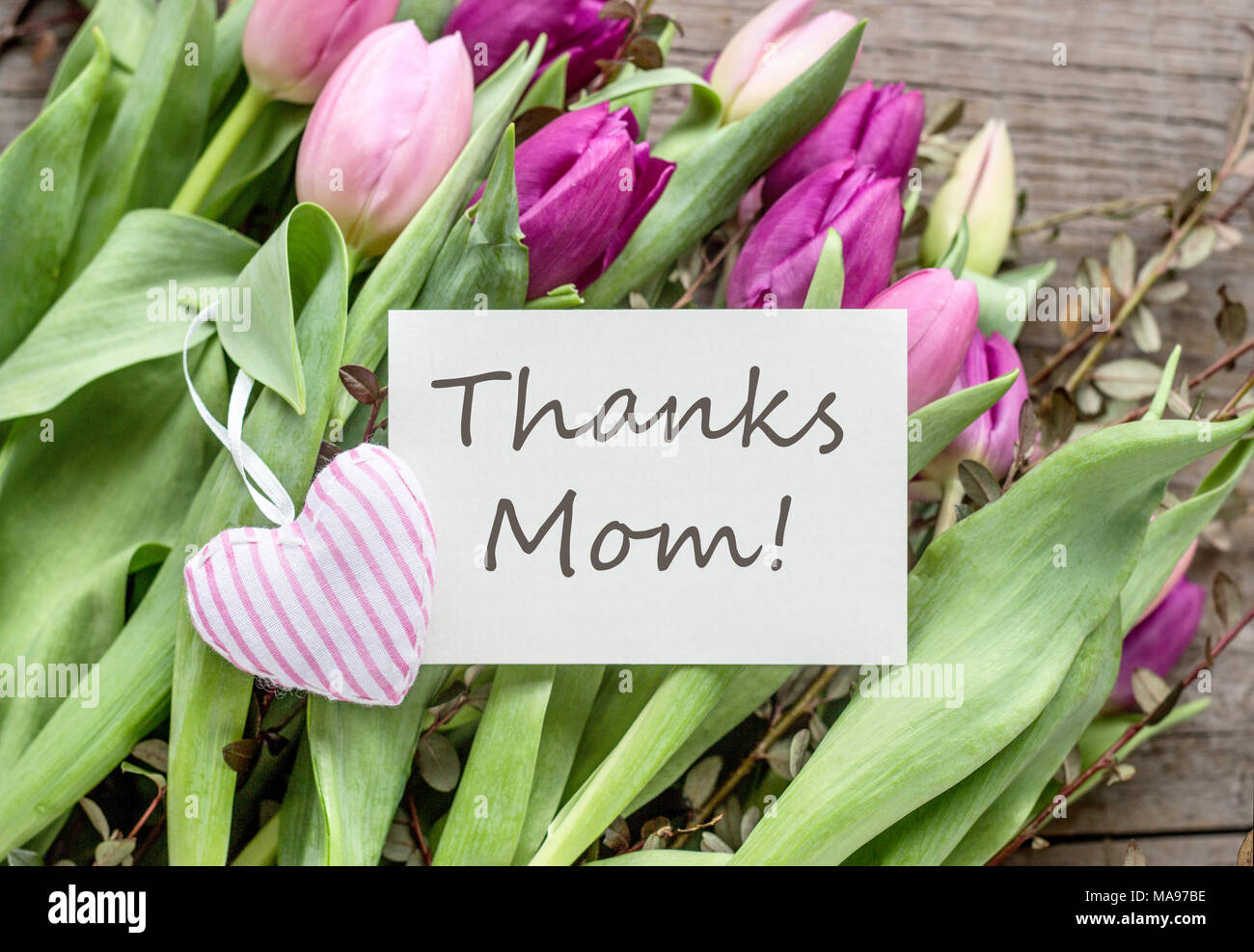 Grußkarte zum Muttertag mit rosa und violett Tulpen und Herz Stockfoto