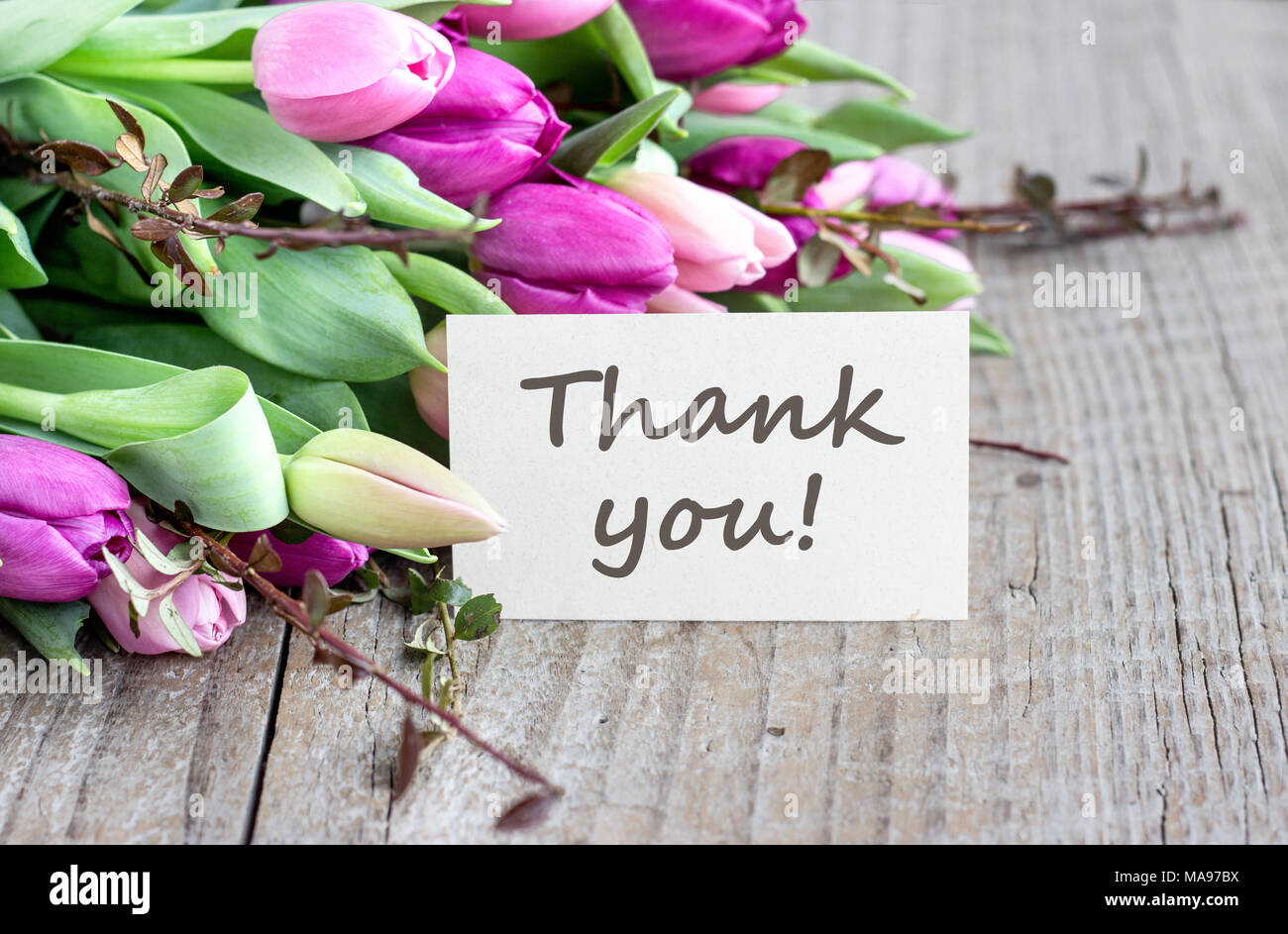 Strauß mit rosa und violett Tulpen und Karte mit Text: Vielen Dank Stockfoto