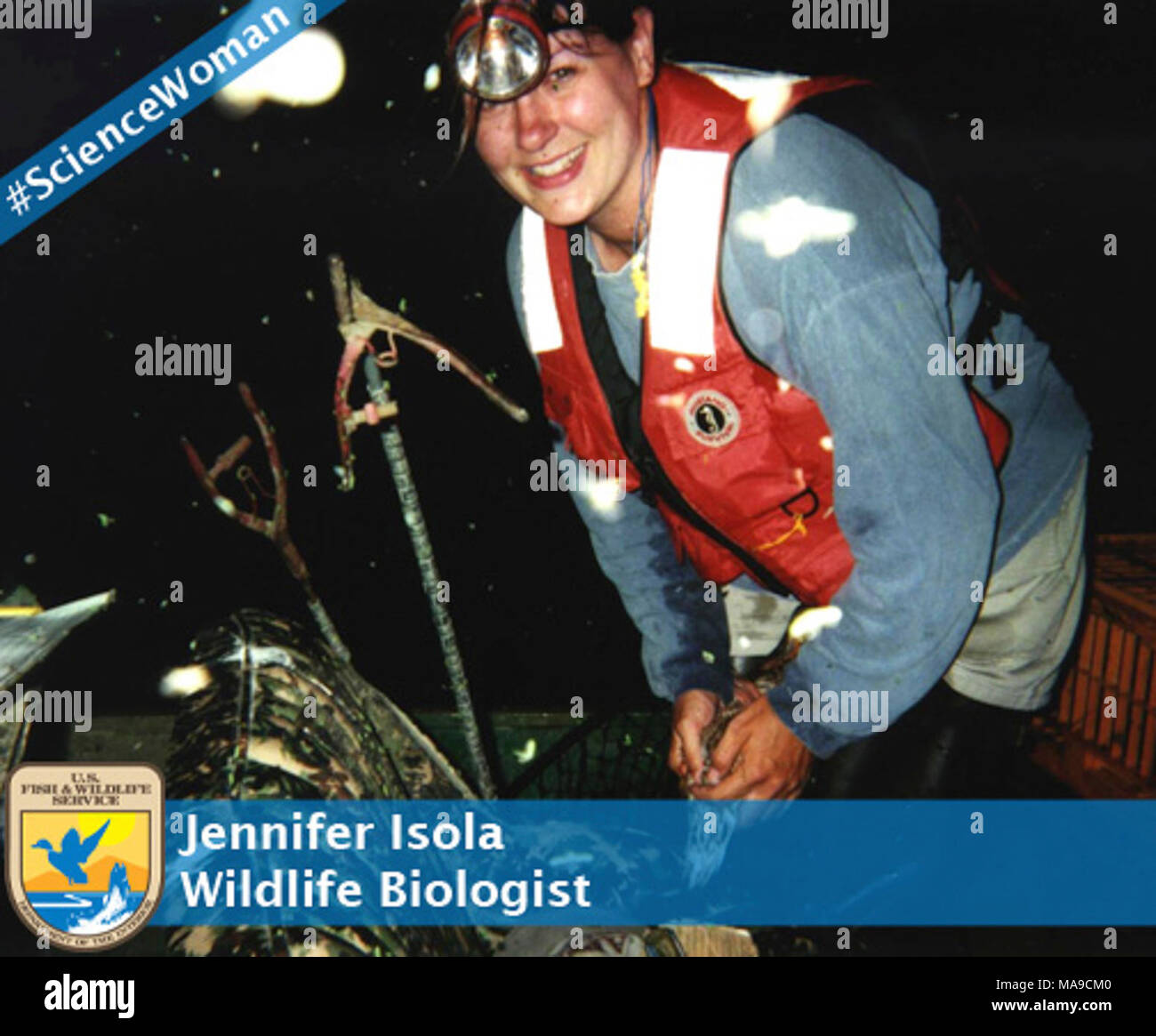 Jennifer Isola, # sciencewomen. Frauen in der Wildnis März ist Women's History Month und wir wollen einige der erstaunlichen Frauen hier bei uns Fisch und Wildlife Service auf unserer Social Media Seiten zu markieren. Name: Jennifer Isola Titel: Wildnisbiologe Aufgabe Station: Sacramento NWR Komplexe Wo haben Sie zur Schule gehen: Humboldt State University, was Du getan hast, Studie: Wildlife Management Wie haben Sie Interesse an Erhaltung? Ich habe mich immer außerhalb geliebt werden. Als Kind verbrachte ich unzählige Stunden in der Nähe des Creek. Ich würde sparen Kaulquappen von Regen Pfützen hinter meinem Haus gestrandet, dann wachsen Stockfoto