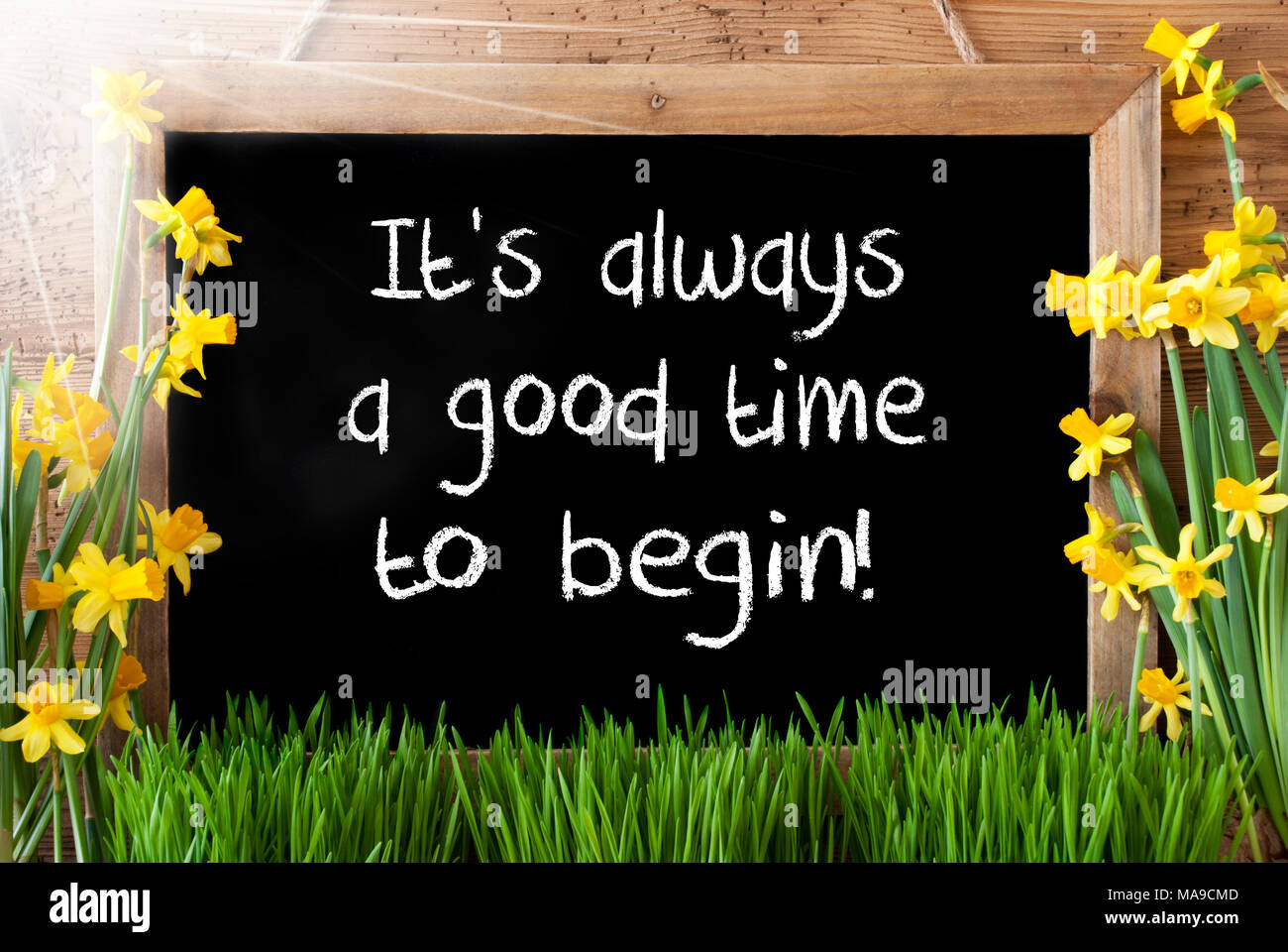 Tafel mit englischen Zitat Es ist immer ein guter Zeitpunkt, um zu beginnen. Sonnige Frühling Blumen Nacissus oder Narzisse mit Gras. Rustikale Alter Holz- Hintergrund. Stockfoto