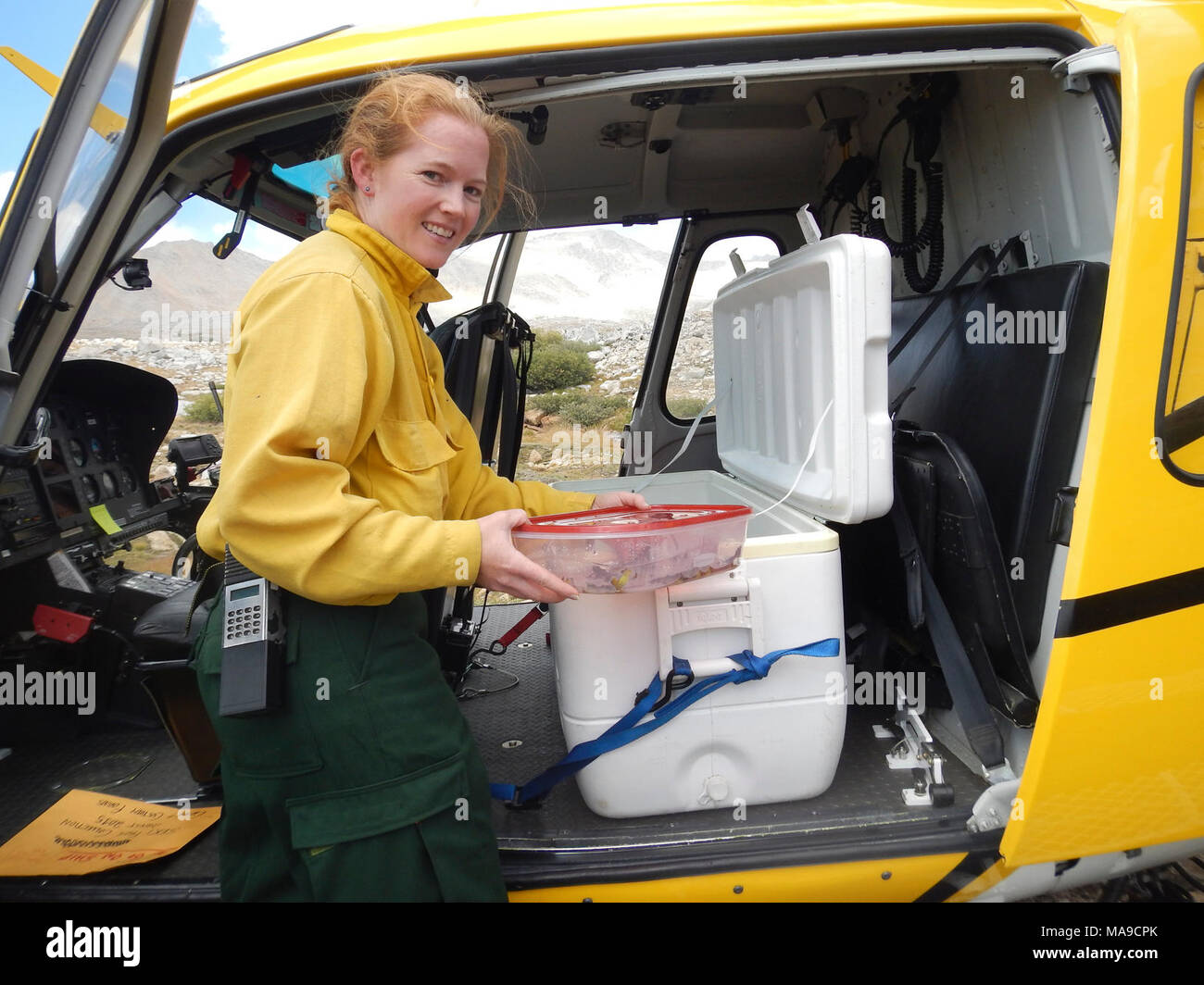 Larissa Perez, helitack Kapitän. Stockfoto