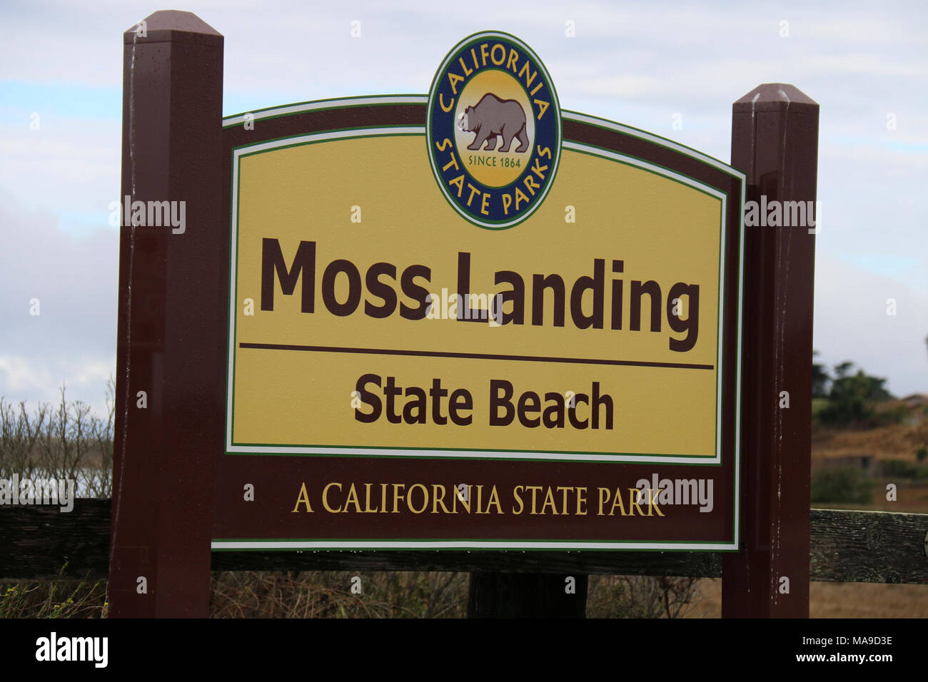 Moss Landing State Beach. Seeotter können häufig vor der Küste von Moss Landing State Beach gefunden werden. Stockfoto
