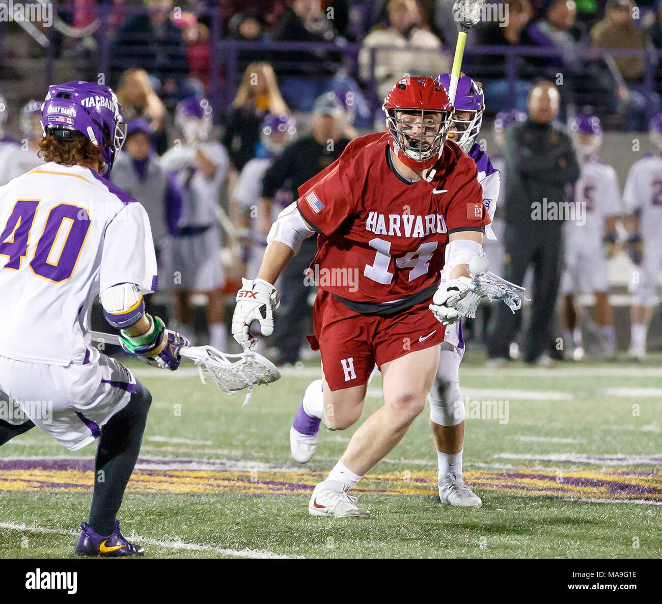 Albany, NY, USA. 28. März, 2018. UAlbany Men's Lacrosse Niederlagen Harvard 14-6 am 28. März an der Casey Stadium. Kyle McClancy (#40) Herausforderungen James Sullivan (#14) Credit: Csm/Alamy leben Nachrichten Stockfoto