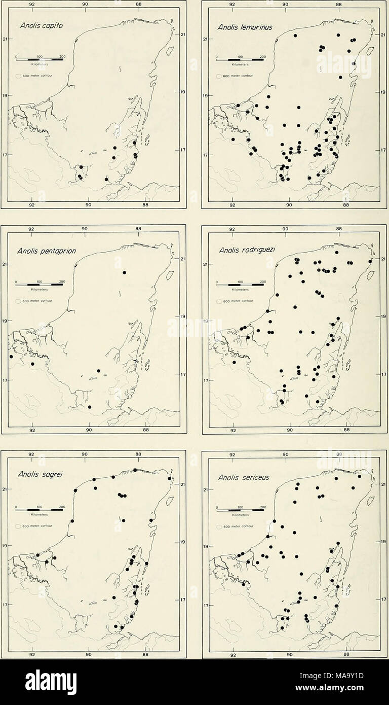 . Eine ecogeographic Analyse Der herpetofauna der Yucatan Halbinsel. Platte 10. Stockfoto