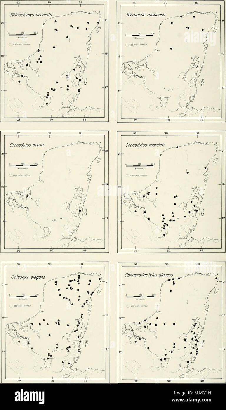 . Eine ecogeographic Analyse Der herpetofauna der Yucatan Halbinsel. Platte 8. Stockfoto